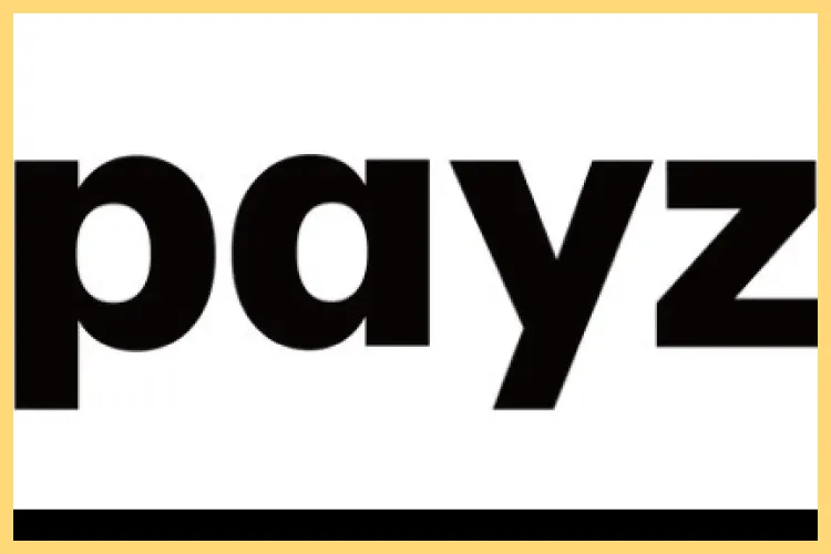 Payz(旧エコペイズ)とは?特徴や登録方法、入出金方法や手数料もご紹介 入出金